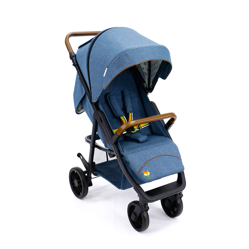 ASALVO - Ness Scout 18472