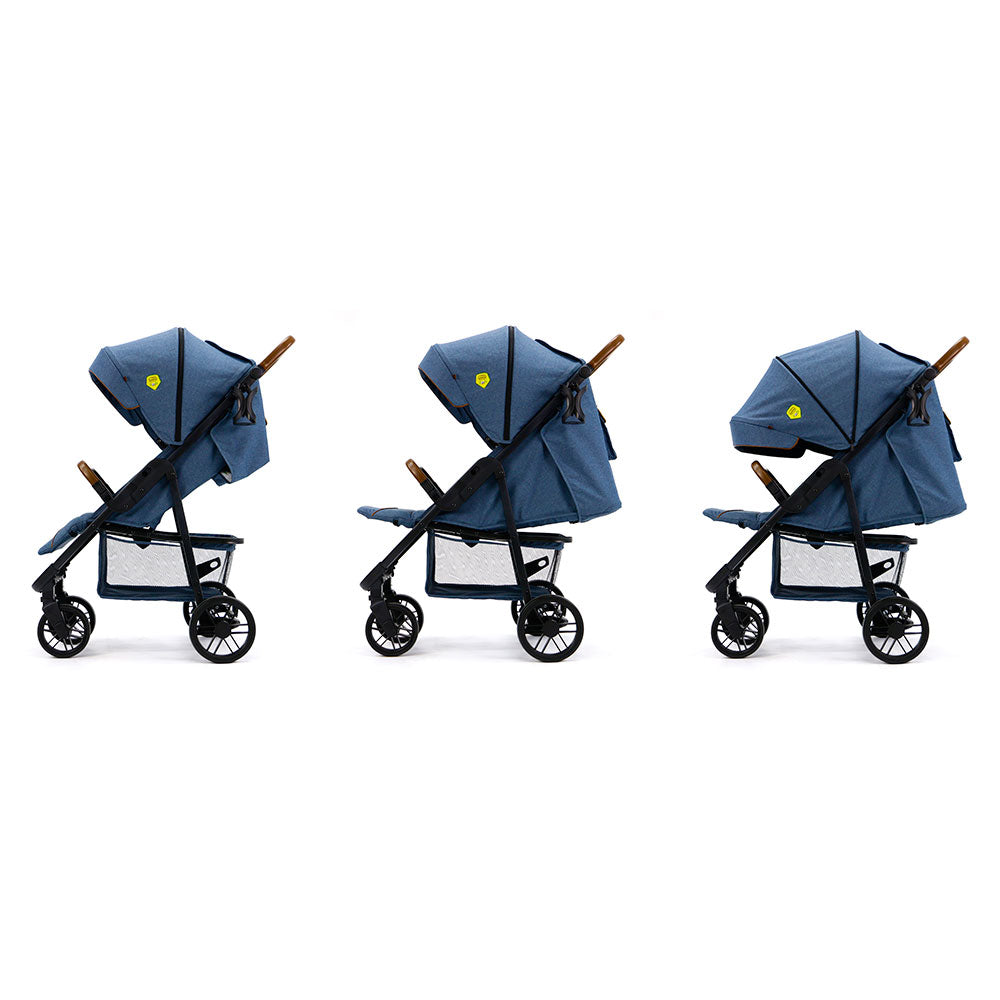 ASALVO - Ness Scout 18472