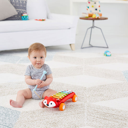 SKIP HOP - Ksilofon 303109