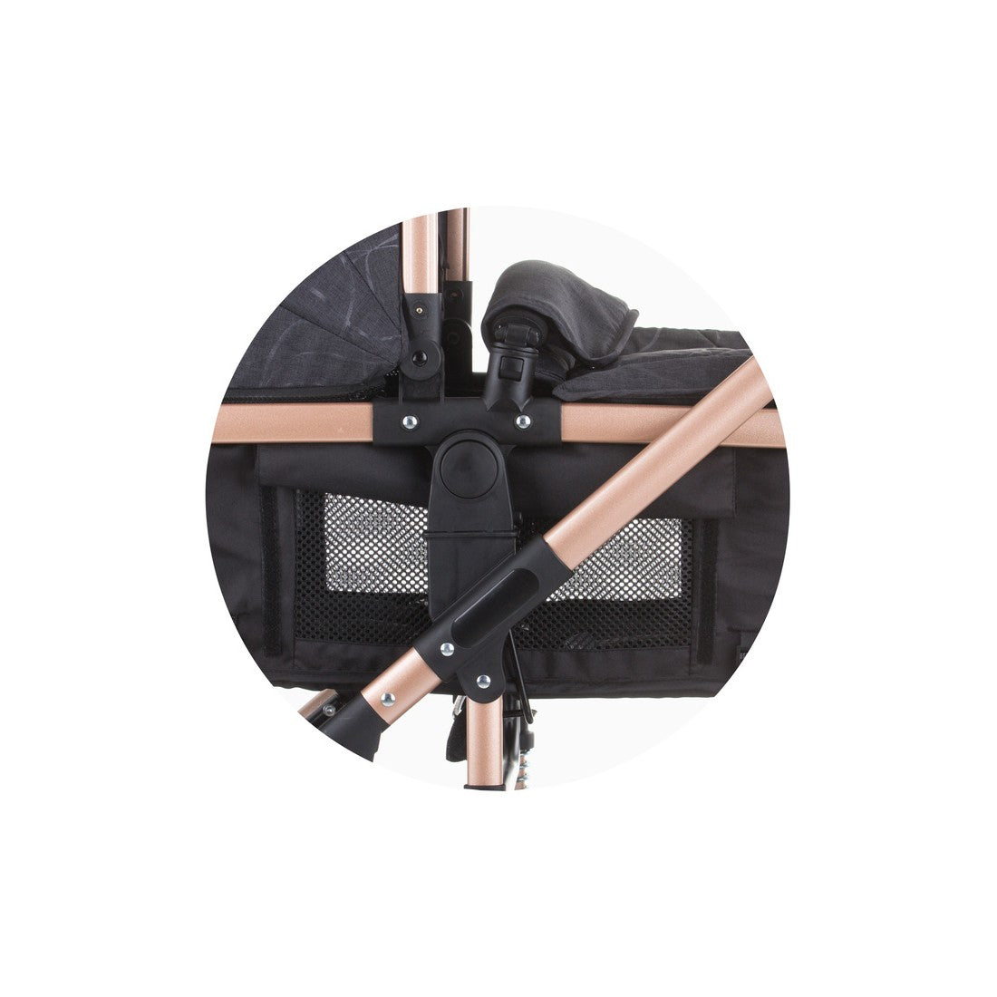 CHIPOLINO - Estelle | 2 u 1