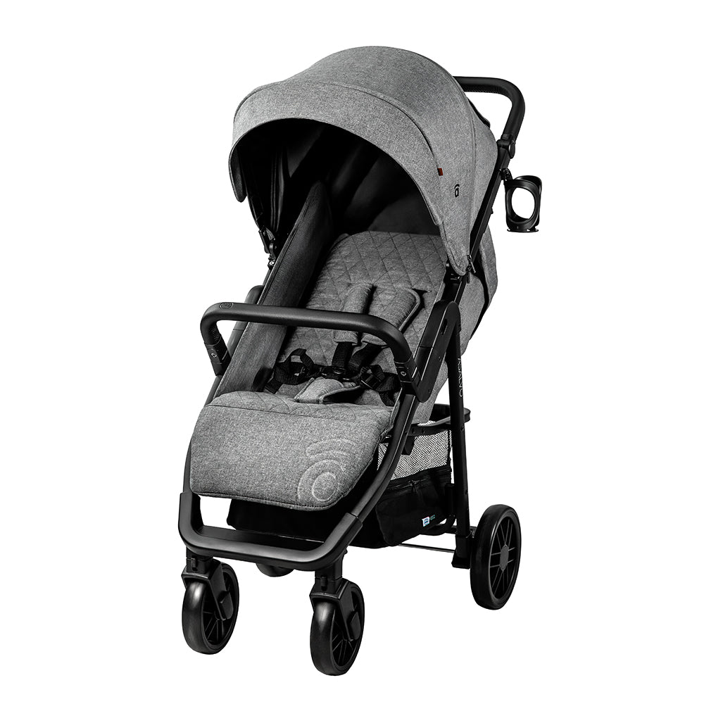 ASALVO - Ness 2 Steel 21090