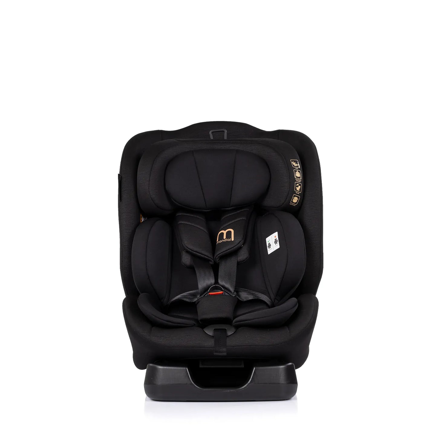 CHIPOLINO - Mondial 0-36kg
