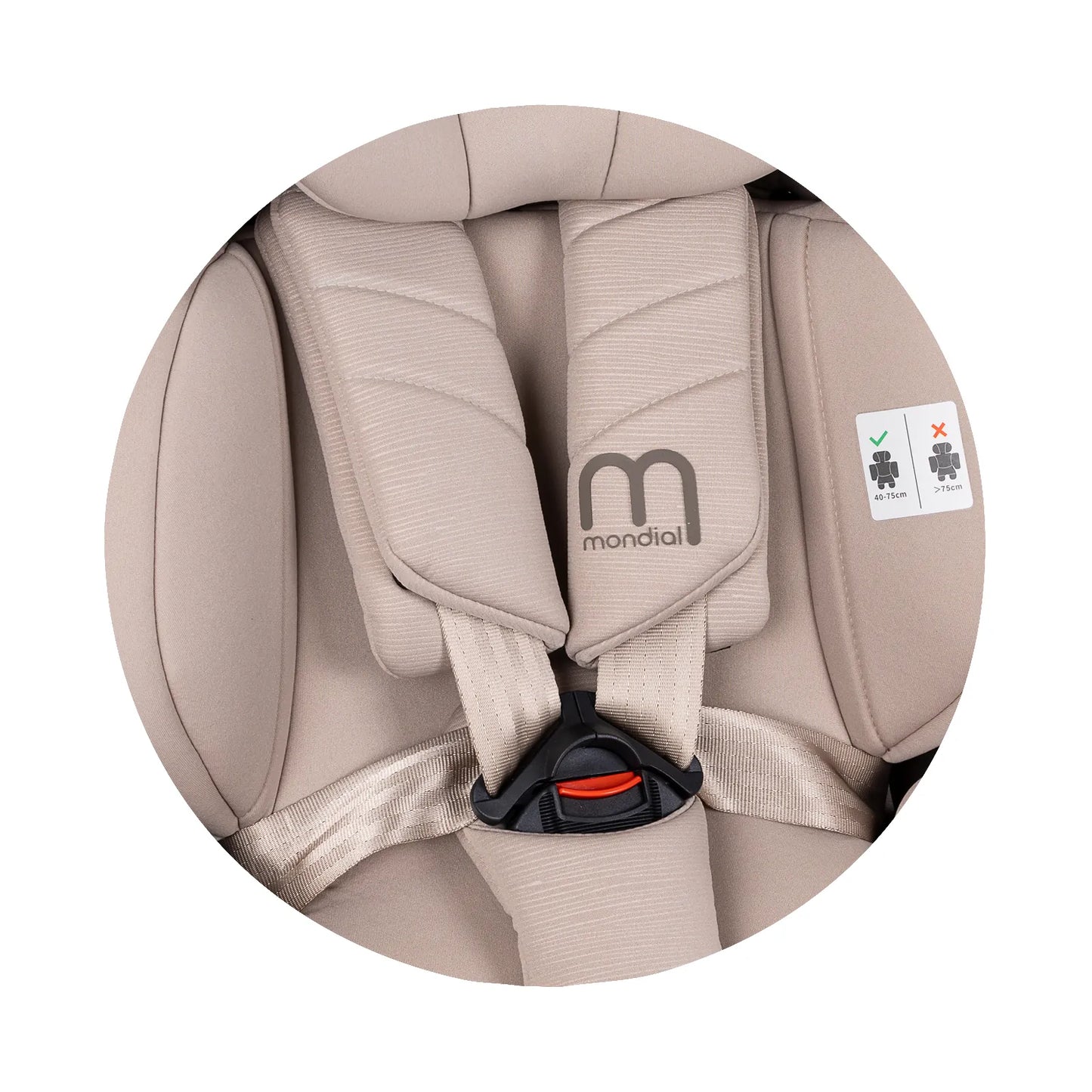 CHIPOLINO - Mondial 0-36kg